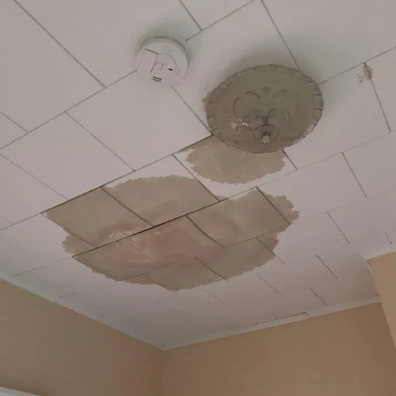 Ceiling Water Damage Repair in Juniata County, PA