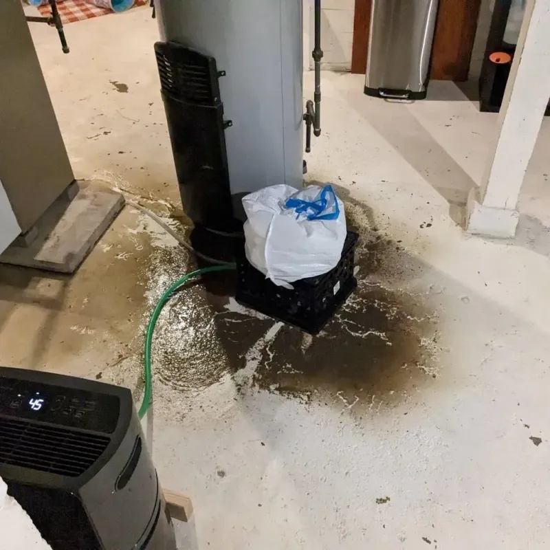 Sewage Backup Cleanup Service in Juniata County, PA